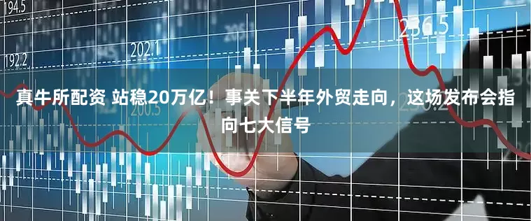 真牛所配资 站稳20万亿！事关下半年外贸走向，这场发布会指向七大信号