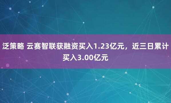 泛策略 云赛智联获融资买入1.23亿元，近三日累计买入3.00亿元