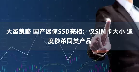 大圣策略 国产迷你SSD亮相：仅SIM卡大小 速度秒杀同类产品