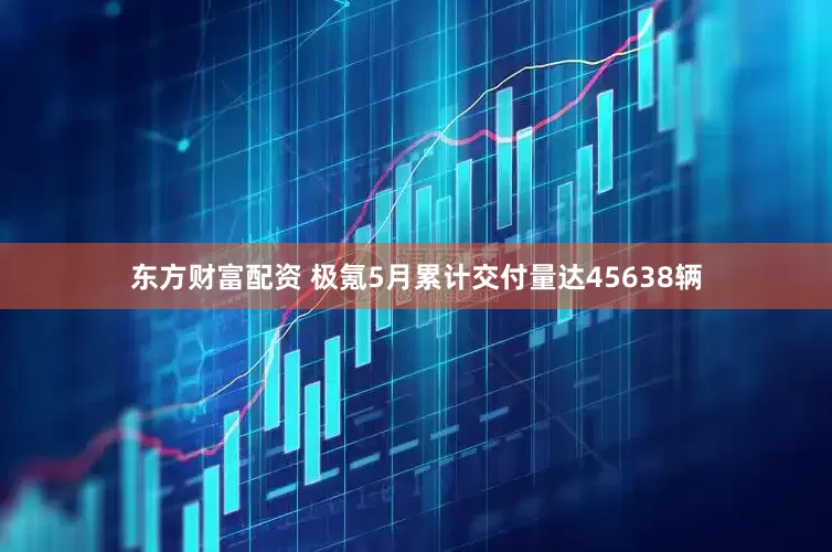 东方财富配资 极氪5月累计交付量达45638辆