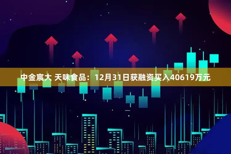 中金宸大 天味食品：12月31日获融资买入40619万元